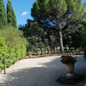 Photo 33 - Provencal villa in the middle of the vineyards - Extérieur