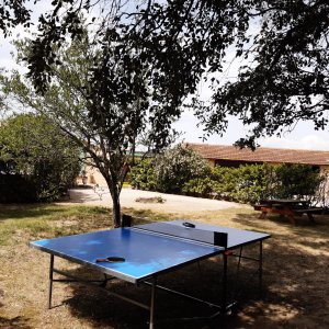 Photo 34 -  Villa Provençale au milieu des vignes - La table de tennis