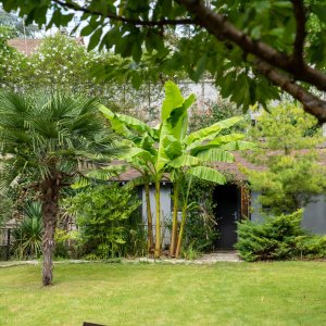 Photo 50 - Balinese garden at the gates of Paris - 