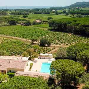 Photo 4 - Bastide with swimming pool in the heart of the vineyards - Vue de l'ensemble