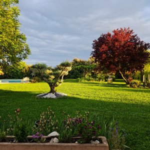 Photo 2 - Superbe mas ancien avec piscine et grand jardin  - Vue du jardin depuis la maison en automne