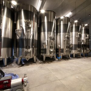 Photo 7 - Au cœur des vignes, espace réceptif extérieur - Visite guidée du chai de vinification