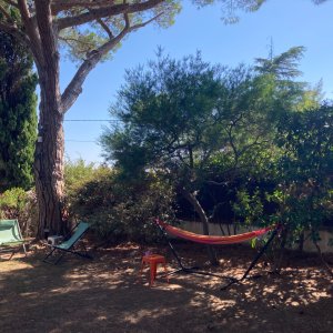 Photo 4 - Cannes :  belle demeure de caractère proche Croisette et nature  - Coin jardin aménagé