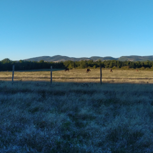 Photo 2 - A Ranch in Provence - 