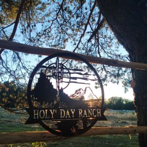 Photo 6 - Un Ranch en Provence - 