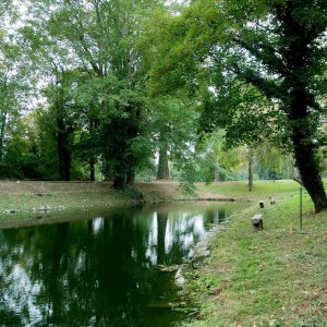 Photo 11 - Domaine au coeur du parc régional du Vexin Français - une partie du parc de 7 hectares