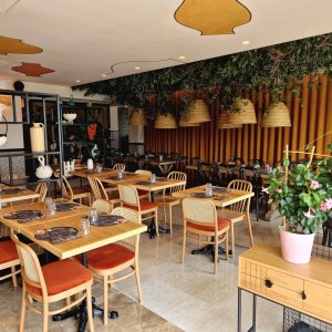 Photo 2 - RoofTop Bar Restaurant Antibes - Salle de réception RDC : Une grande salle lumineuse, accueillante avec son plafond végétalisé, son ambiance chaleureuse et méditerranéenne autour du grand bar central