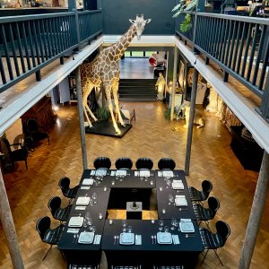 Photo 1 - Loft spacieux - Jardin botanique de Tourcoing - Petits dîners au pied de la girafe