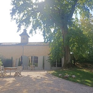 Photo 4 - Château avec vignes dans le Beaujolais - Le château 