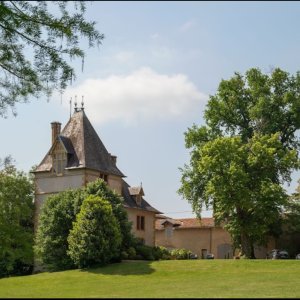 Photo 3 - Château avec vignes dans le Beaujolais - Le château 