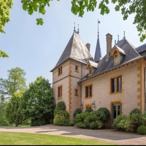 Photo 1 - Château avec vignes dans le Beaujolais - Le château 