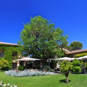 Photo 0 - Reception & Events amongst nature in Mougins - 