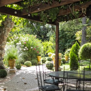 Photo 12 - Exceptional estate 10 minutes from St Rémy de Provence - Terrasse