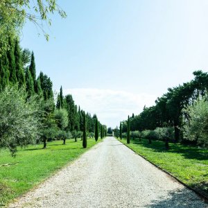 Photo 3 - Exceptional estate 10 minutes from St Rémy de Provence - Le terrain