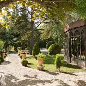 Photo 5 - Domaine d’exception à 10 minutes de St Rémy de Provence - Jardin