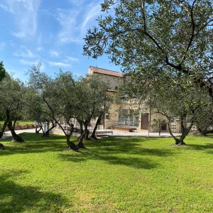 Photo 3 - Bastide en Provence de 800 m² - La Bastide et le parc