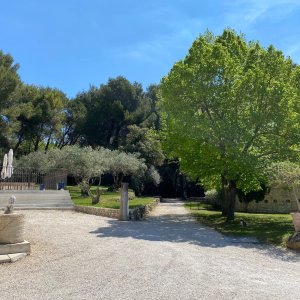 Photo 8 - Bastide en Provence de 800 m² - Le parc