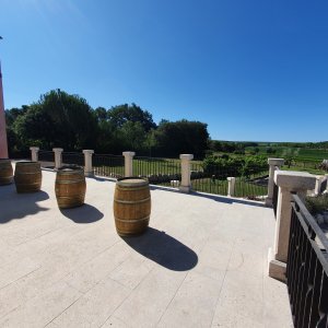 Photo 3 - Salle de réception - La terrasse, vue sur le jardin de 700 m²