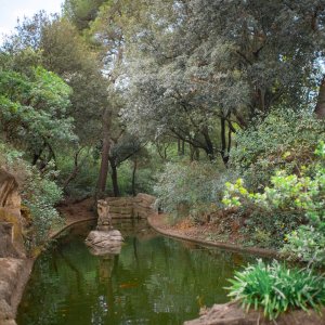 Photo 5 - Château avec piscine chauffée et jardin à la Française - Le bassin