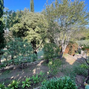 Photo 12 - Domaine provençal avec piscine et grand terrain - Le jardin