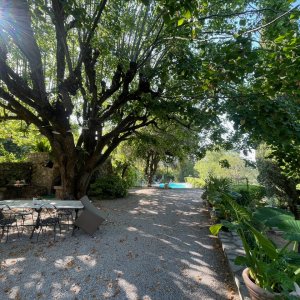 Photo 11 - Domaine provençal avec piscine et grand terrain - Le jardin