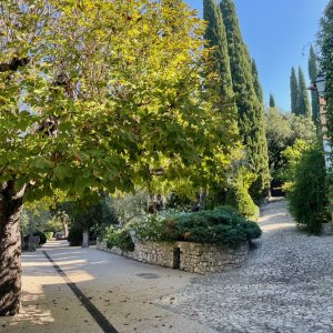 Photo 8 - Domaine provençal avec piscine et grand terrain - La maison