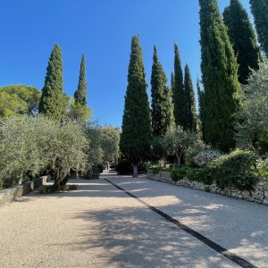 Photo 10 - Domaine provençal avec piscine et grand terrain - Le jardin