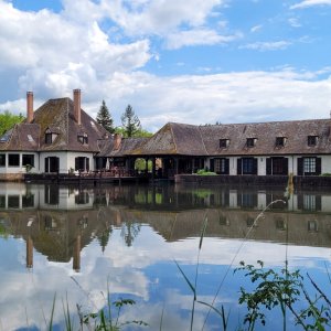 Photo 0 - Magnificent estate between land and river in Sologne - Domaine sur l'eau