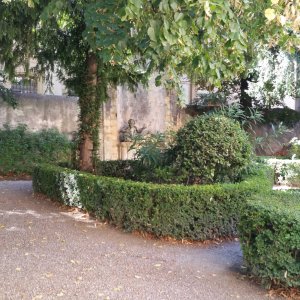 Photo 2 - Hôtel particulier XVIIIe à Aix en Provence - Jardin de buis