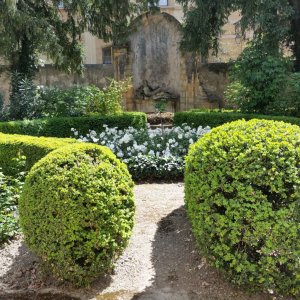 Photo 4 - 18th century private mansion in Aix en Provence - Jardin