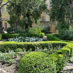 Photo 1 - 18th century private mansion in Aix en Provence - Jardin
