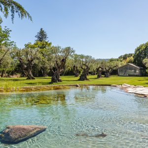 Photo 0 - Magnifique Domaine à Saint-Tropez - Piscine d'eau naturelle avec carpes dans le jardin d'Oliviers Millénaires 