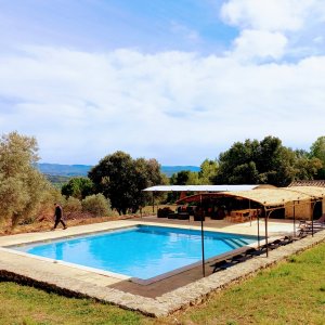 Photo 5 - Bastide luxueuse avec piscine chauffée, Luberon, Mariages, événements familiaux et professionnels - Piscine