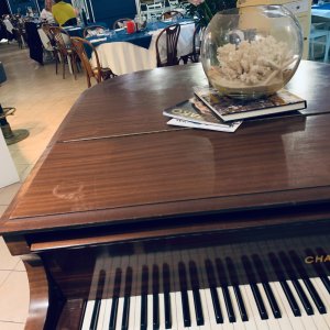 Photo 13 - Restaurant italien niché sur le vieux port de Saint Jean Cap Ferrat - Piano a queue pour enchanter vos soirées musicales 