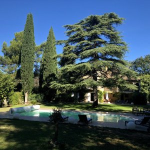 Photo 7 - Jardin avec piscine - 