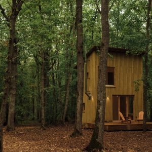 Photo 16 - Ecolodge in the heart of the Normandy forest for a green seminar! - 