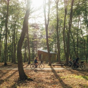 Photo 0 - Ecolodge in the heart of the Normandy forest for a green seminar! - 