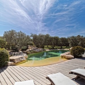 Photo 7 - Villa nestled in the heart of Provence - La piscine