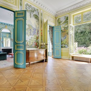 Photo 1 - Hôtel particulier à Saint-Germain Des Prés - Petit Salon