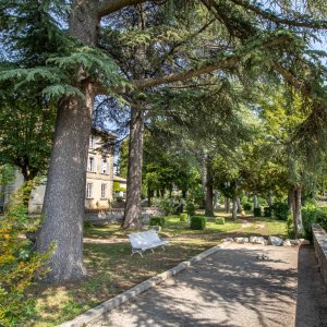 Photo 6 - Un mas au cœur de la Provence - Le parc