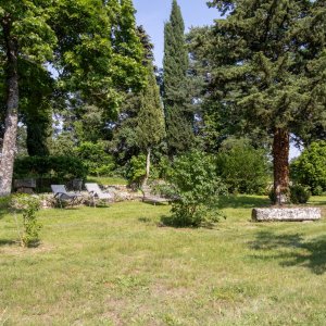 Photo 9 - Un mas au cœur de la Provence - Le parc