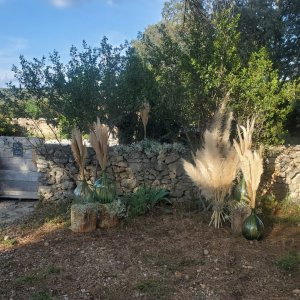 Photo 14 - Ecological & authentic cottage 35 minutes from Montpellier - Patio