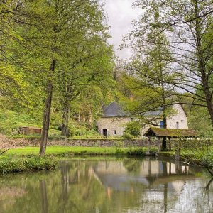 Photo 19 - Parc paradisiaque et domaine de conte de fée - Le Moulin au tout début du printemps 