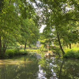 Photo 0 - Parc paradisiaque et domaine de conte de fée - Le Moulin en été 