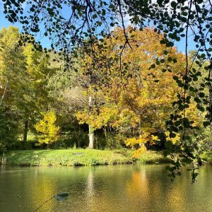 Photo 11 - Parc paradisiaque et domaine de conte de fée - Le début de l'automne canadien au bord de l'étang 