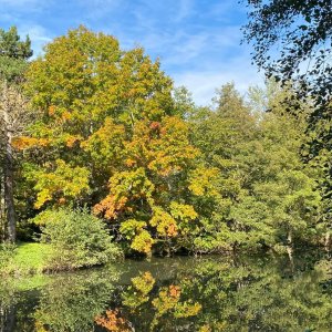 Photo 16 - Parc paradisiaque et domaine de conte de fée - Le début de l'automne canadien au bord de l'étang  