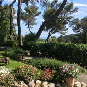 Photo 34 - Fully privatised Domain in the heart of Provence, perfect for family or professional events. - 