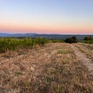 Photo 5 - Vineyard - beautiful view - large flat land - Le terrain