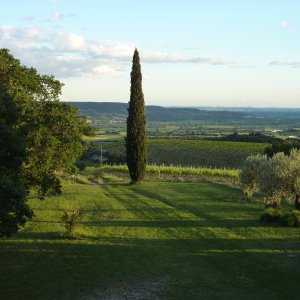 Photo 2 - Vineyard - beautiful view - large flat land - Le terrain