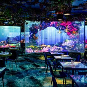 Photo 3 - Plongée sous marine dans un restaurant immersif parisien - 